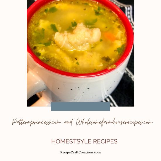 Homestyle Recipes cup of chicken dumpling soup